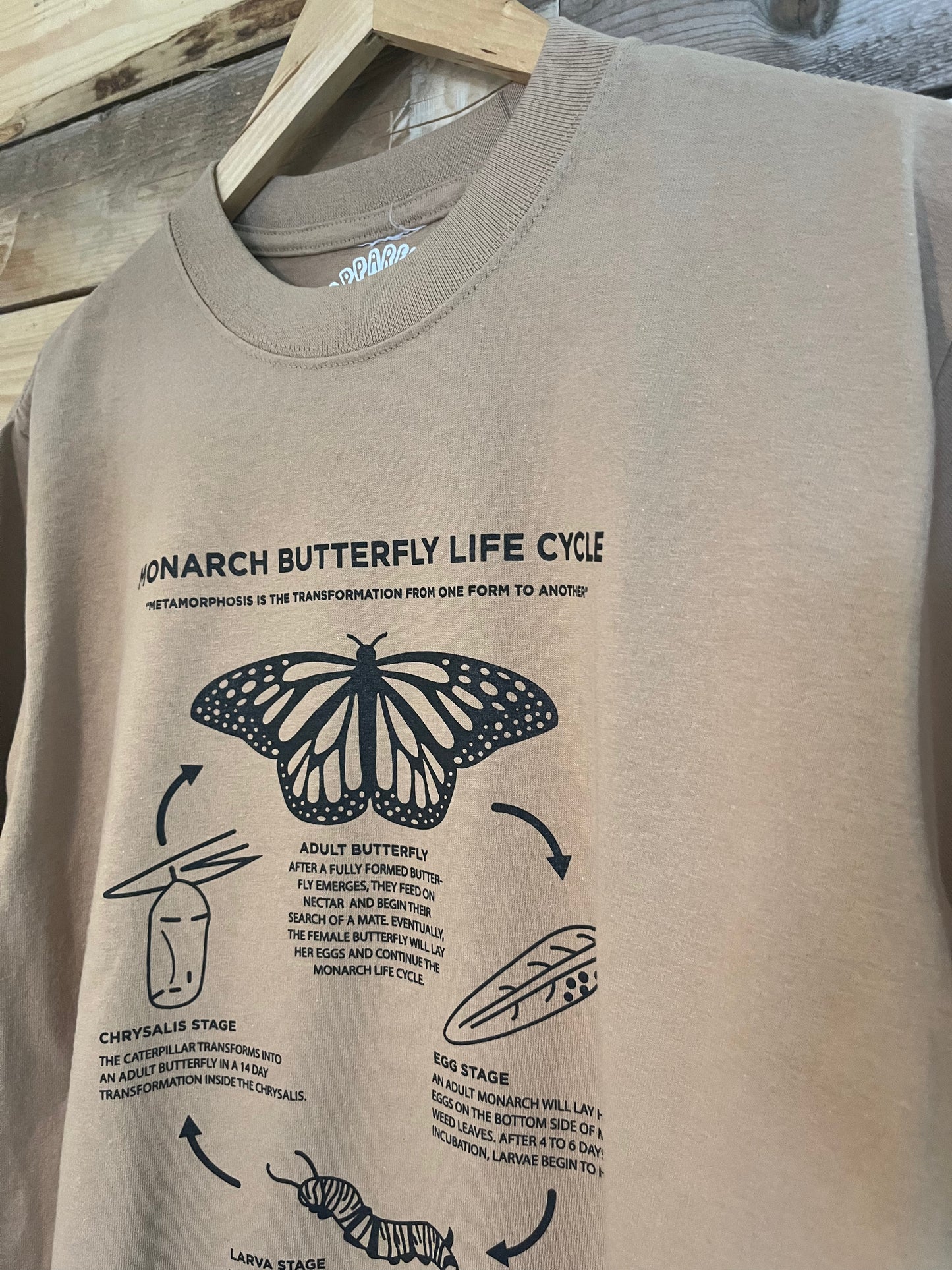 Insectology: Monarch Life Cycle