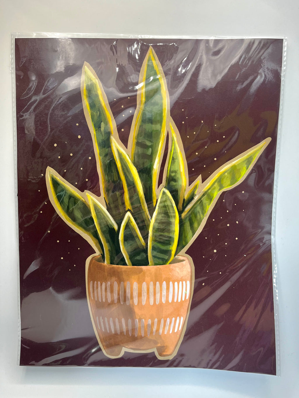 V.P. Artistry Print - Potted Succulent