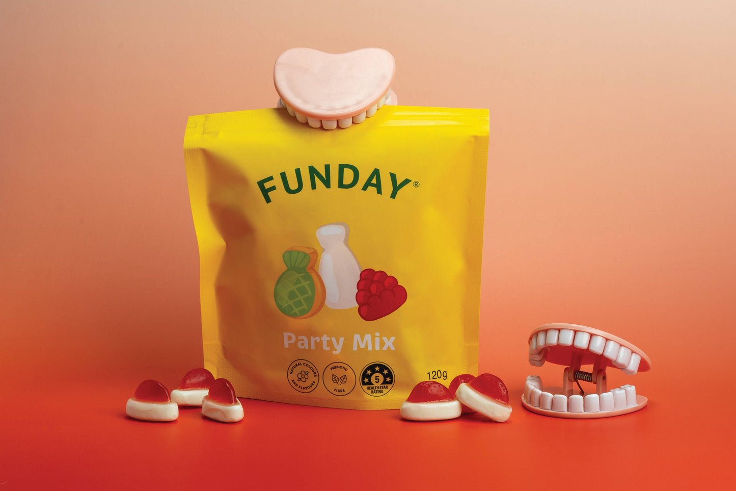 Denture Bag Clips