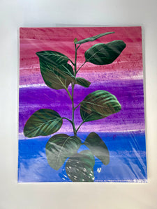 V.P. Artistry Print - Leaves Bisexual Pride