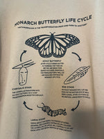 Insectology: Butterfly Life Cycle