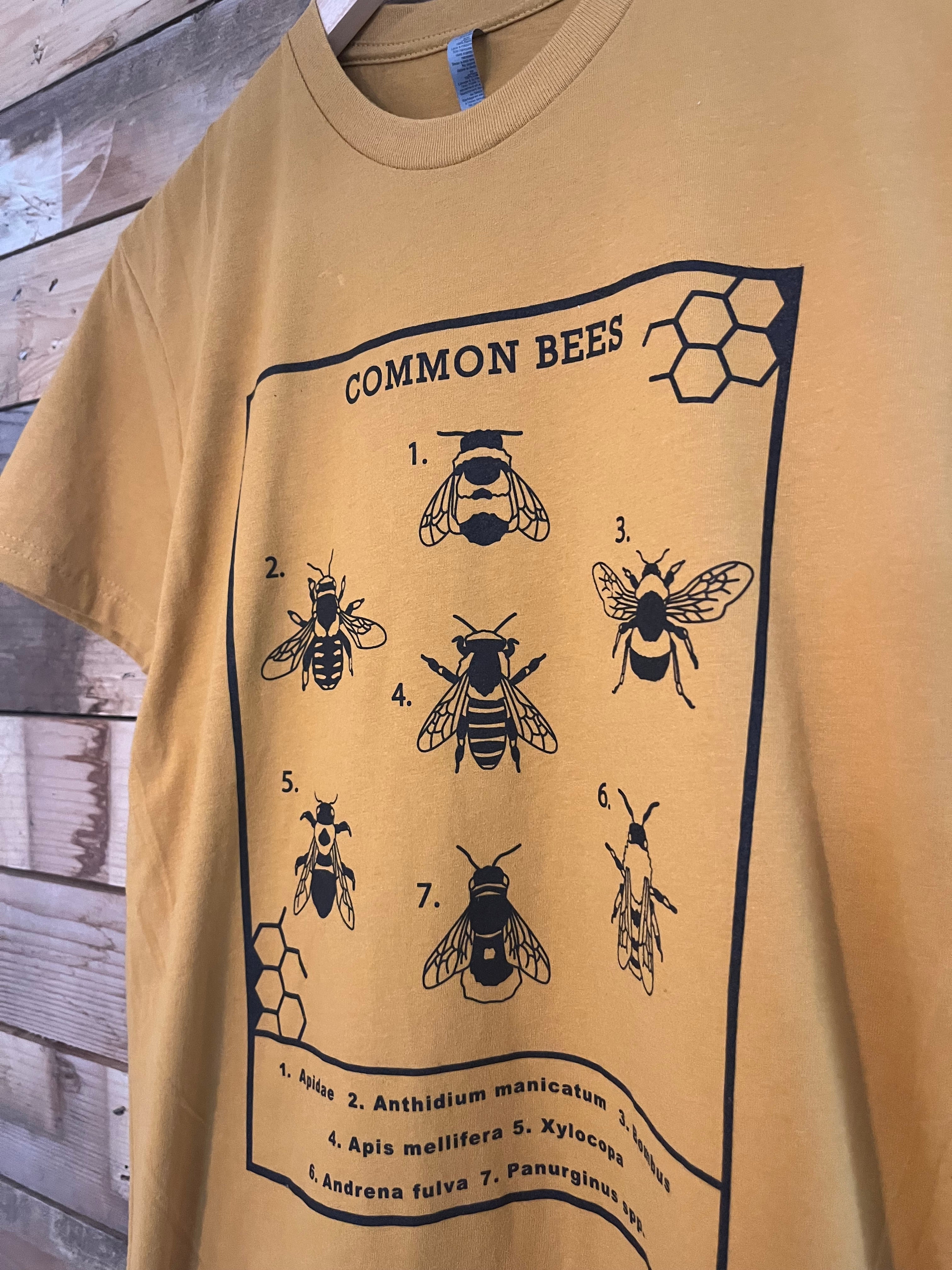 Insectology: Common Bees